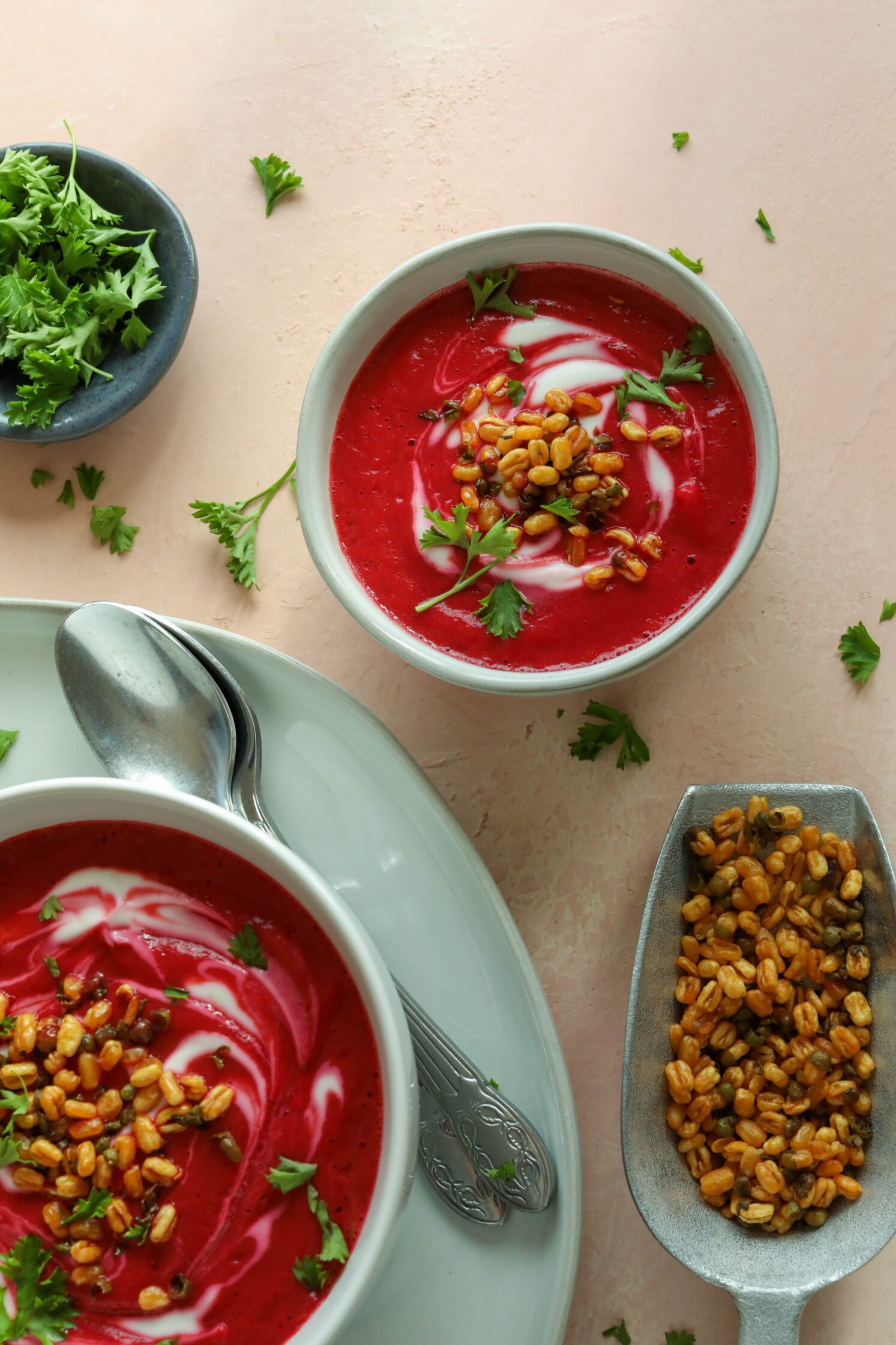 Heart-Beet Soup served in bowls topped with sprouted mung beans and parsley by Flora & Vino